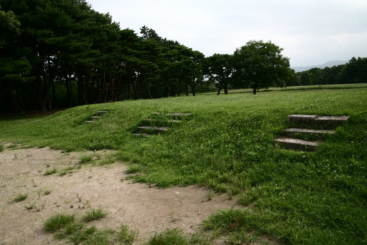 경주 월성 사진