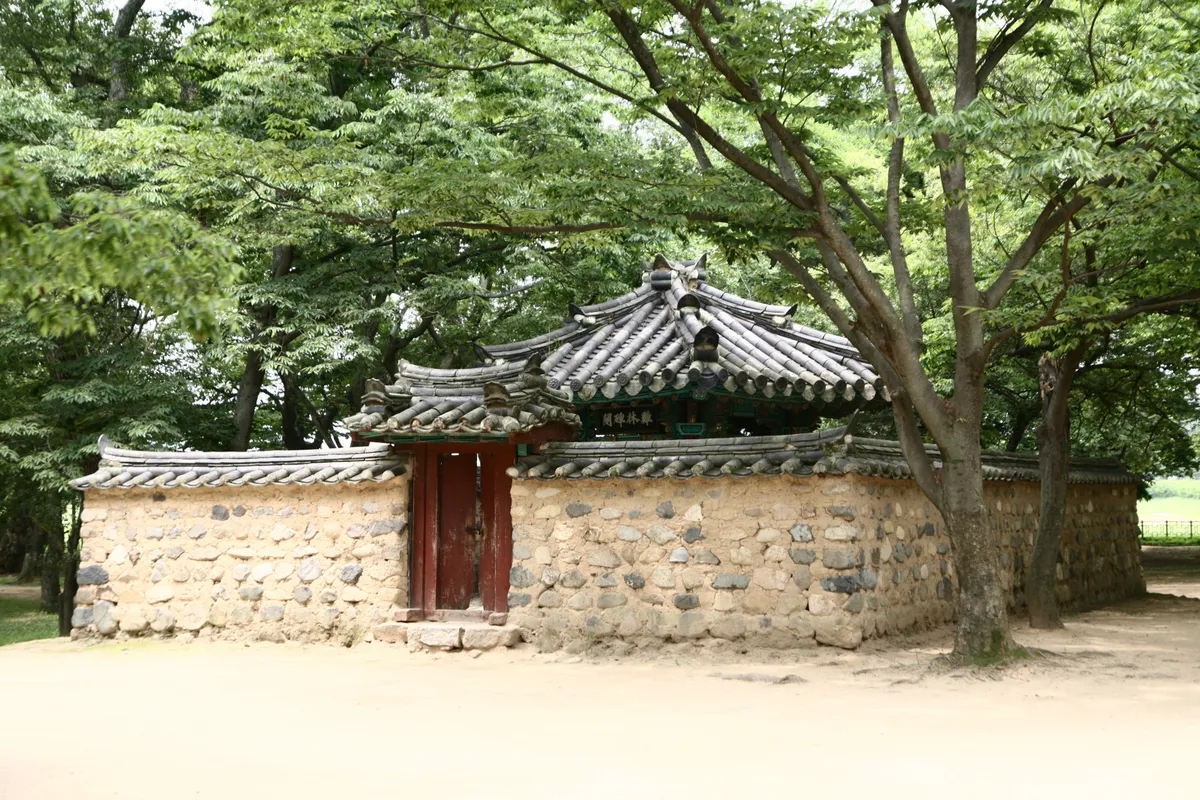경주 계림 사진