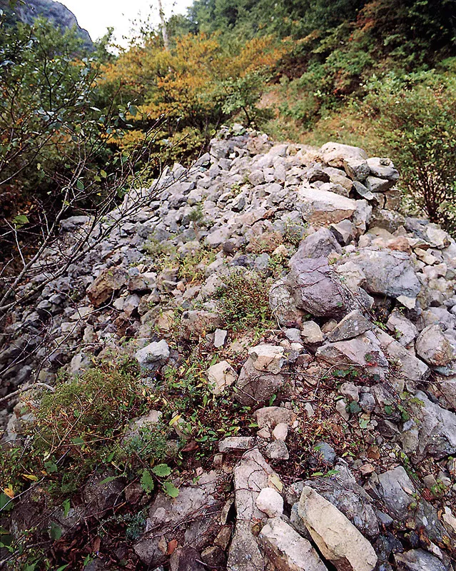 경주 부산성 사진