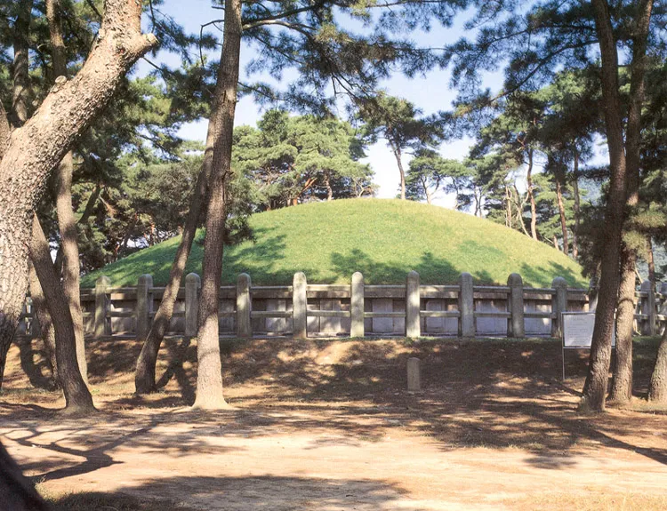 경주 헌덕왕릉 사진
