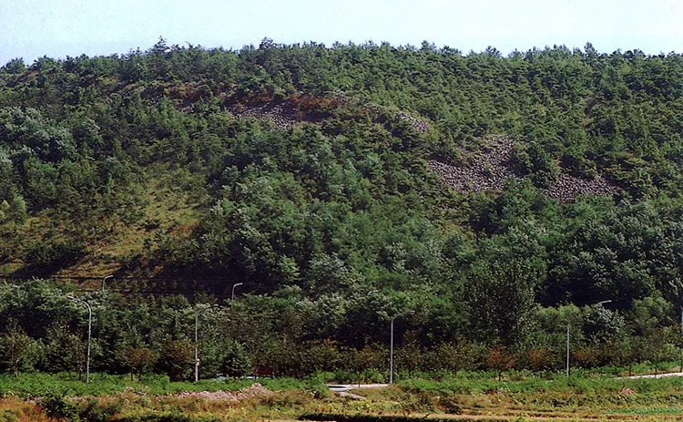 경주 명활성 사진