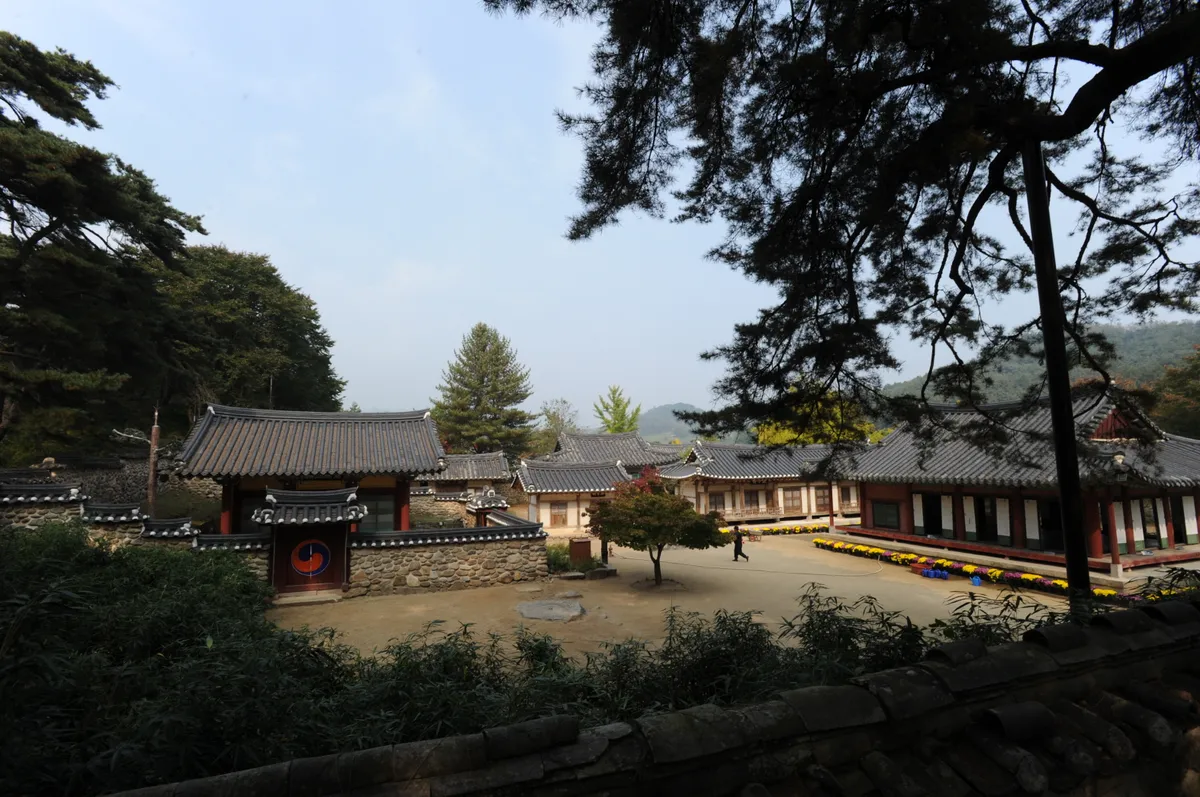 영주 소수서원 사진