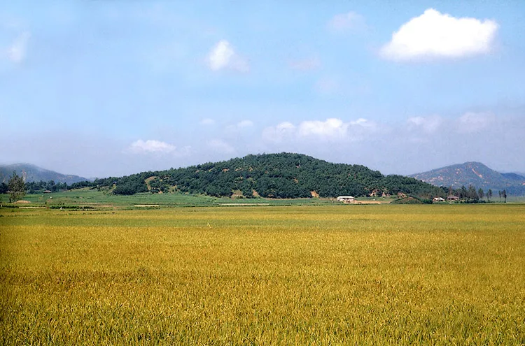 부여 청산성 사진