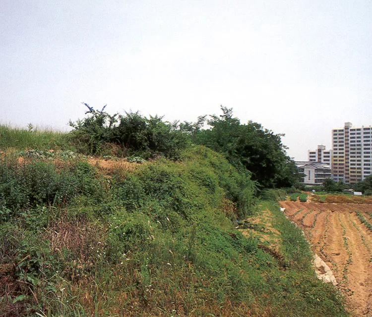 김해 구산동 고분군 사진