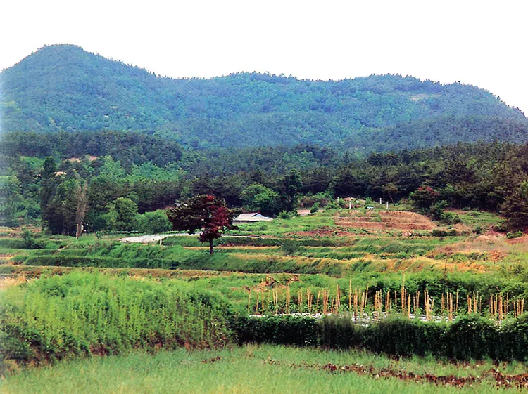 부여 석성산성 사진