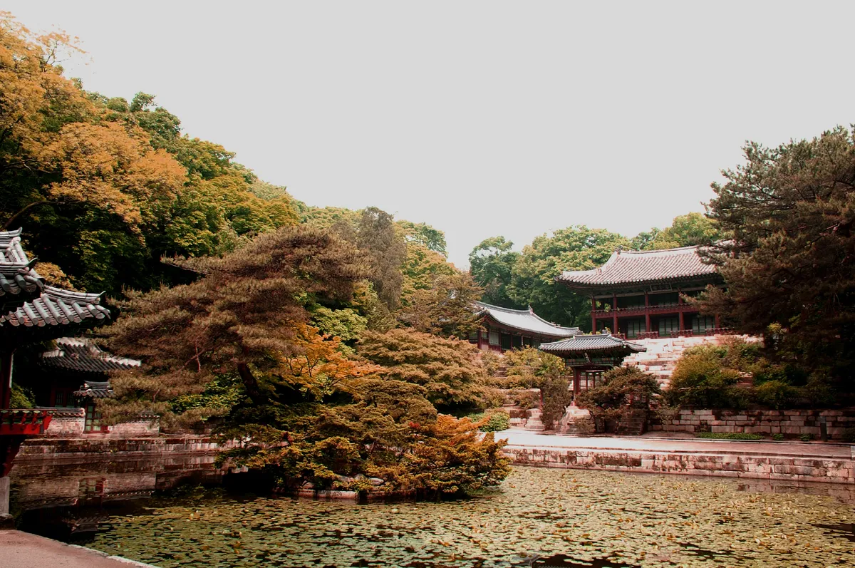창덕궁 사진