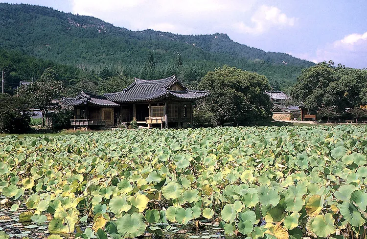 경주 서출지 사진