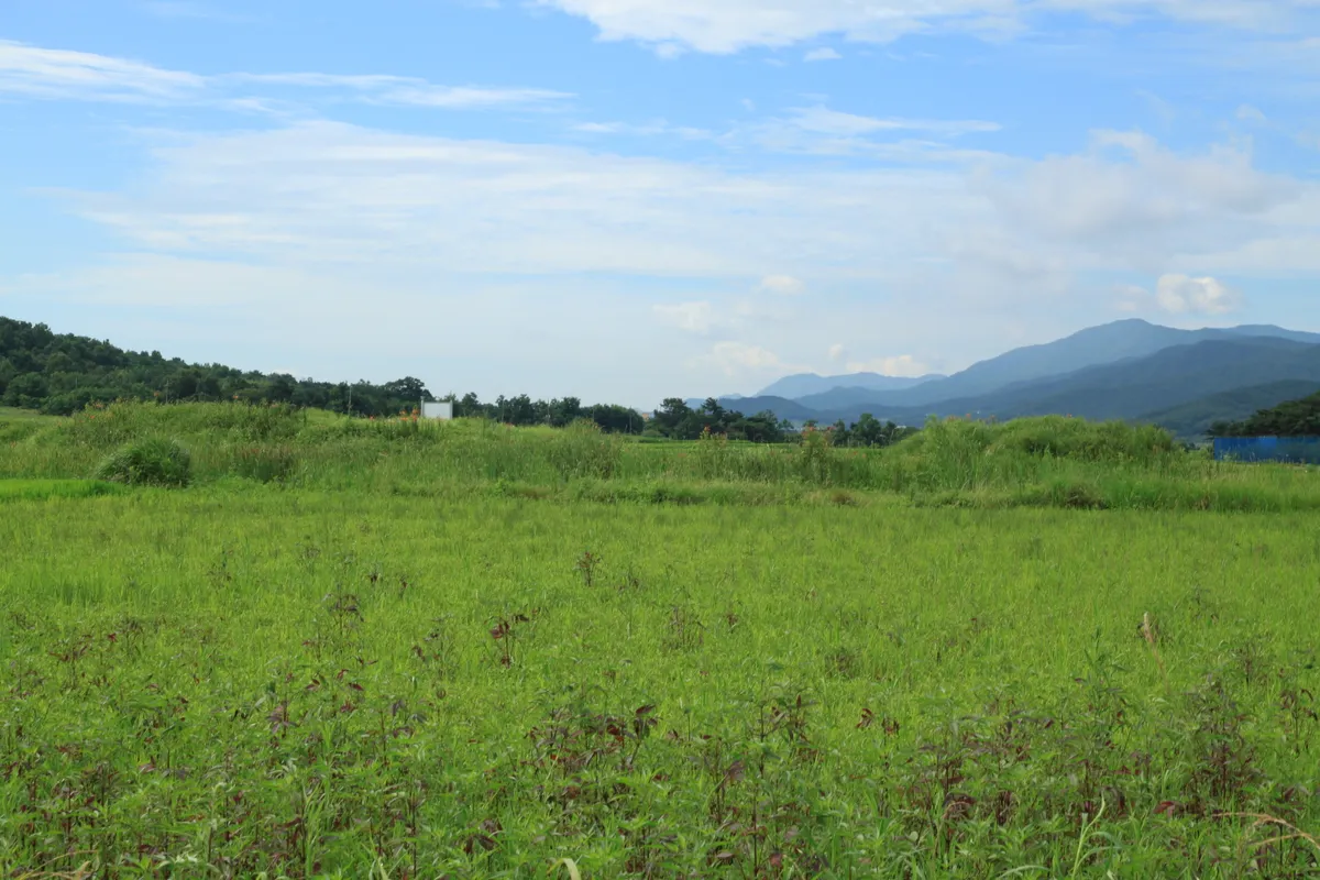 경주 낭산 일원 사진