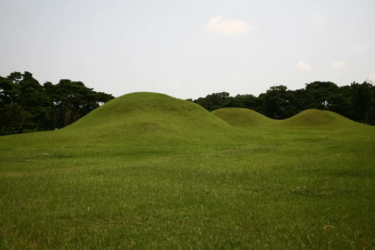 경주 오릉 사진
