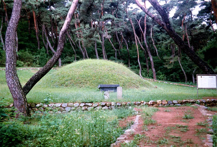 경주 법흥왕릉 사진