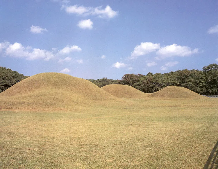 경주 배동 삼릉 사진