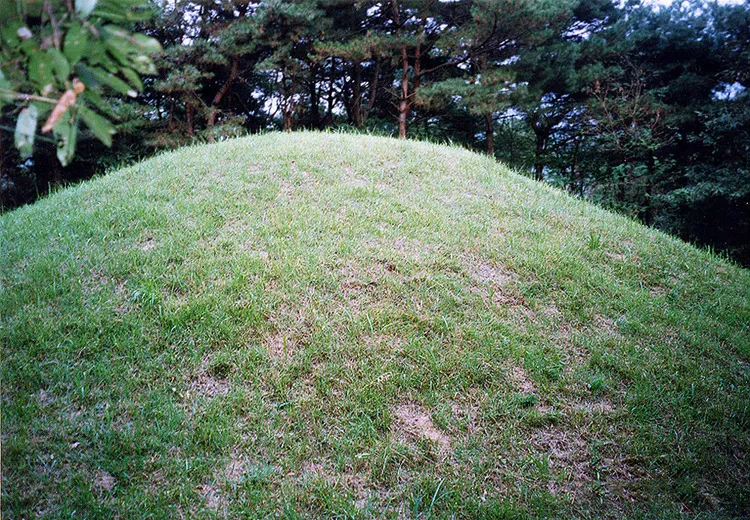 경주 희강왕릉 사진