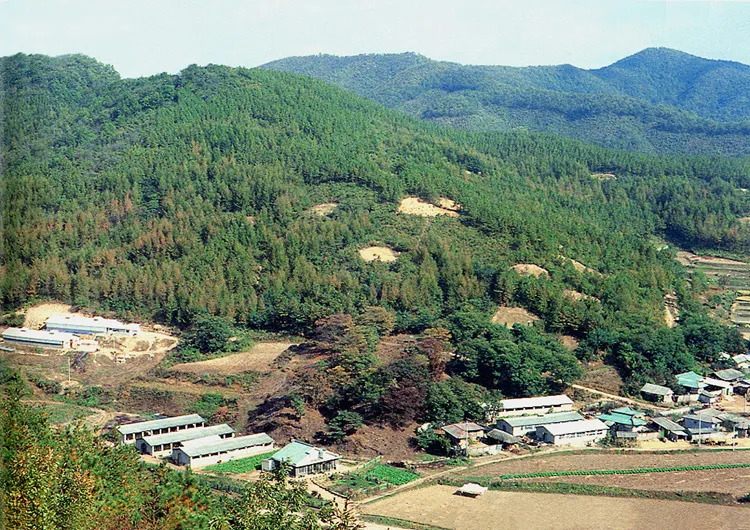 용인 서리 고려백자 요지 사진