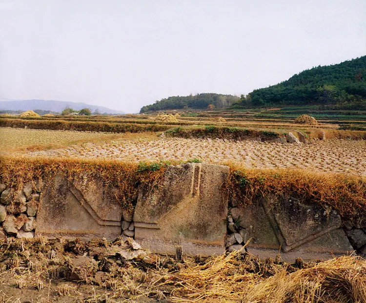 경주 천관사지 사진