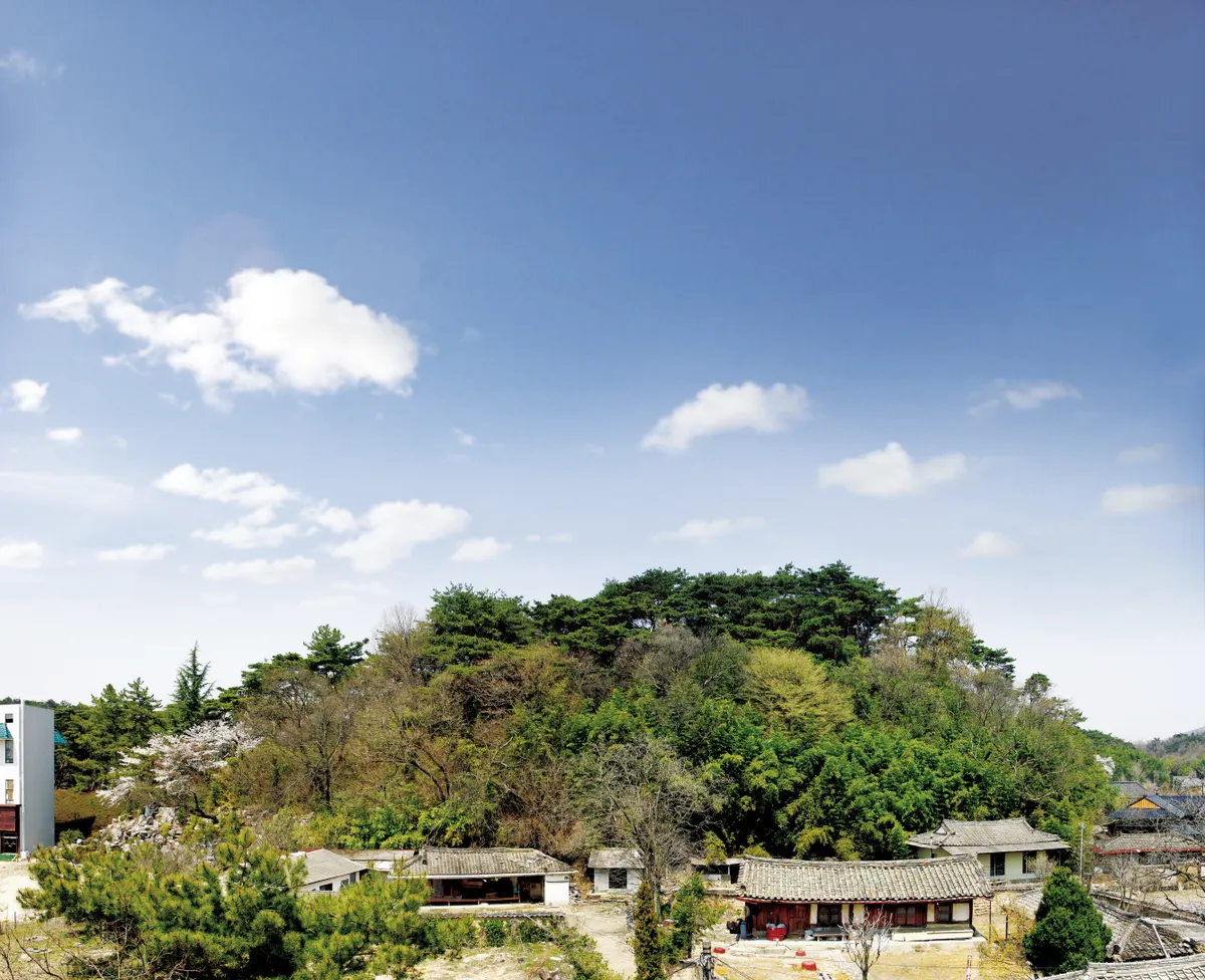 경주 구정동 고분군 사진