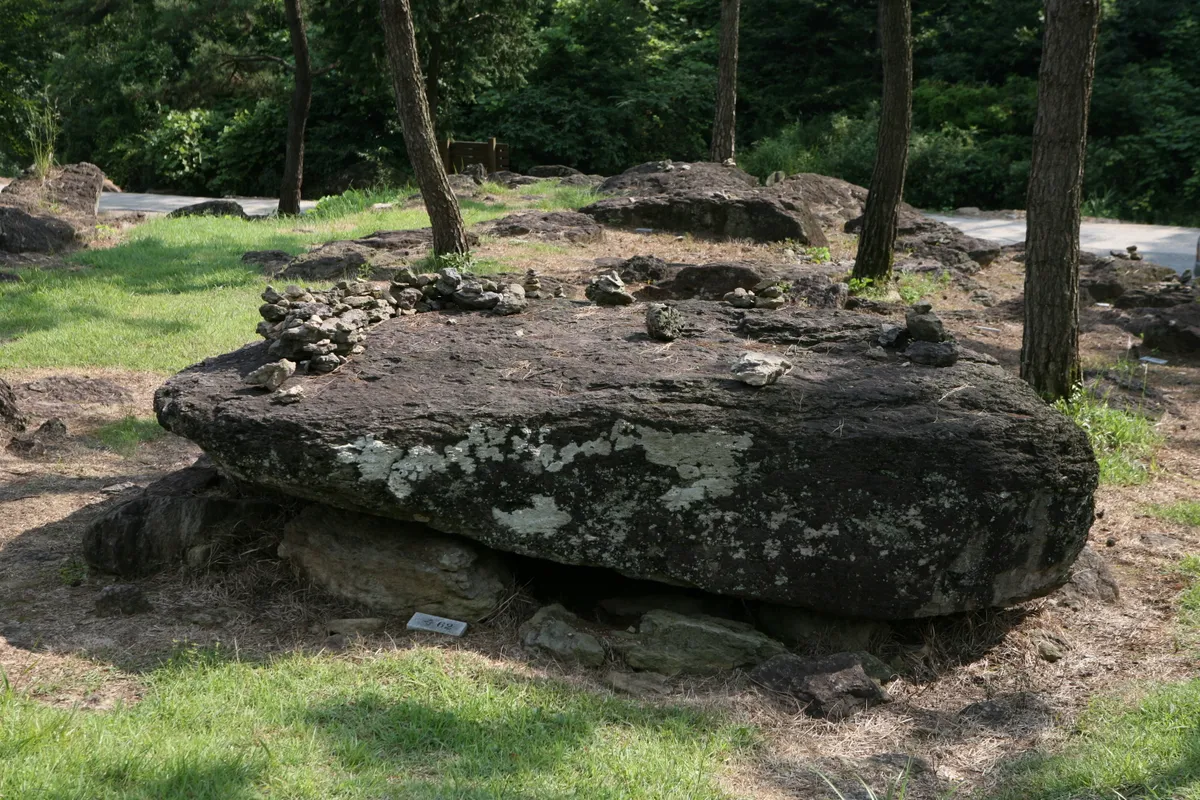 화순 효산리와 대신리 지석묘군 사진