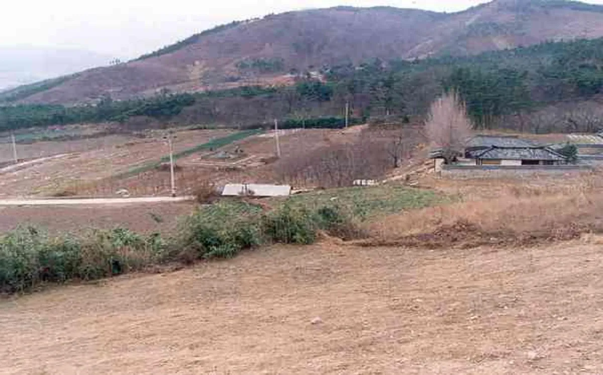 포항 법광사지 사진