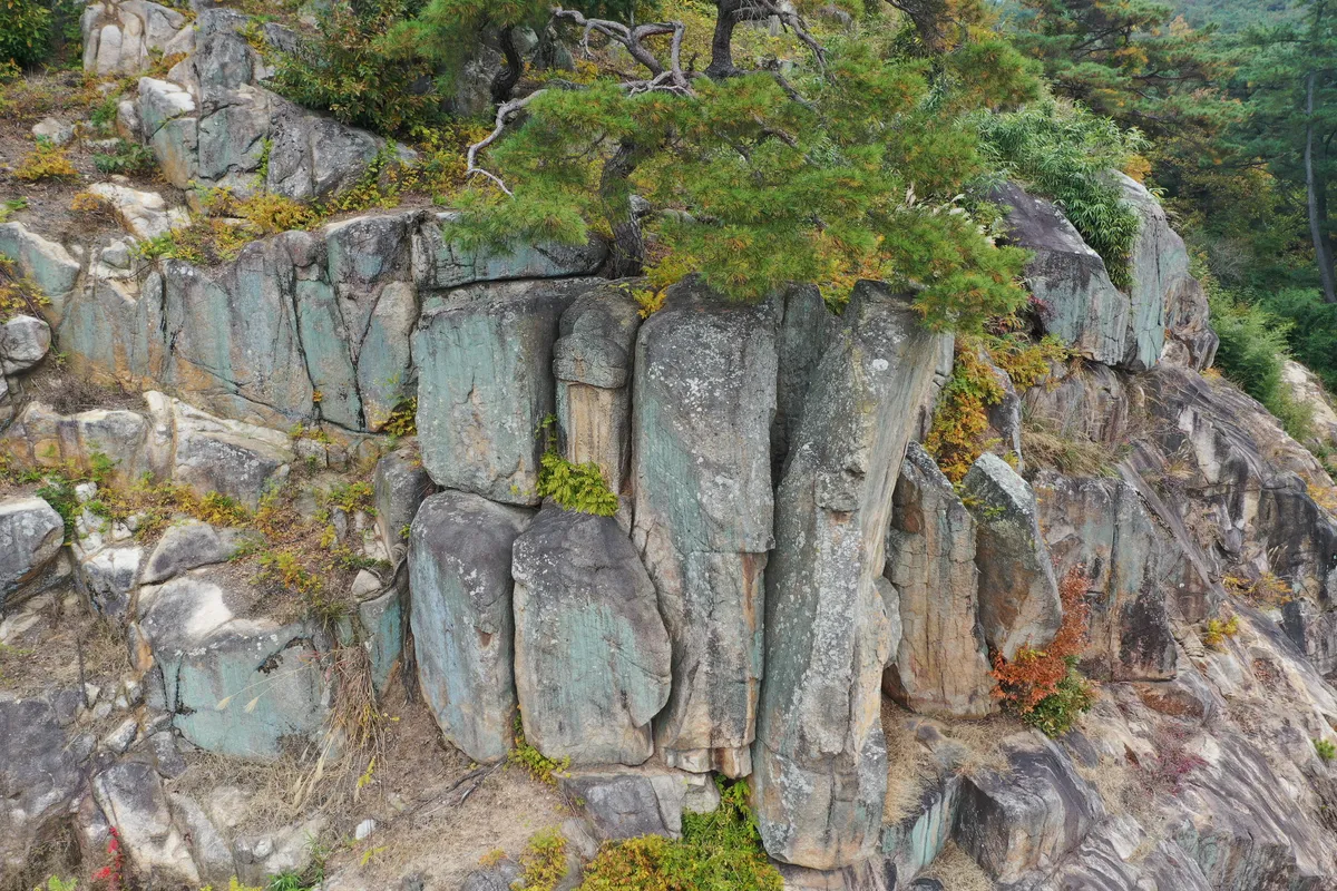 경주 금강산 표암봉 일원(2022) 사진