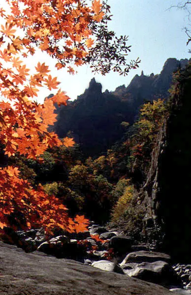 설악산 천연보호구역 사진