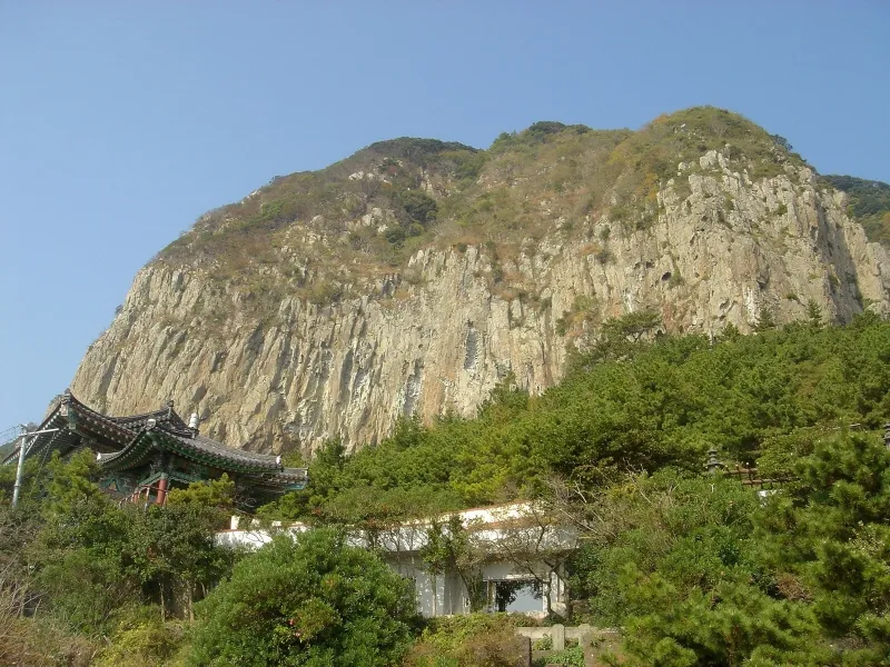 제주 산방산 암벽식물지대 사진