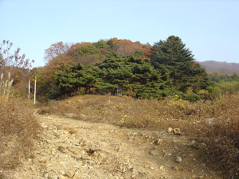 포천 직두리 부부송 사진