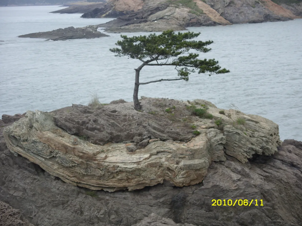 신안 작은대섬 응회암과 화산성구조 사진