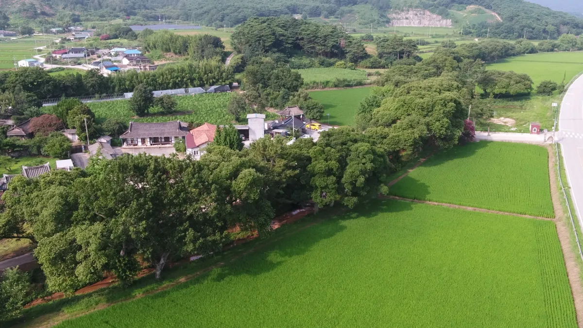 고창 하고리 삼태마을숲 사진