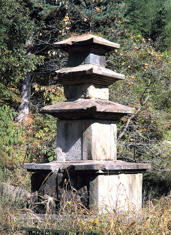 산청 대포리 삼층석탑 사진