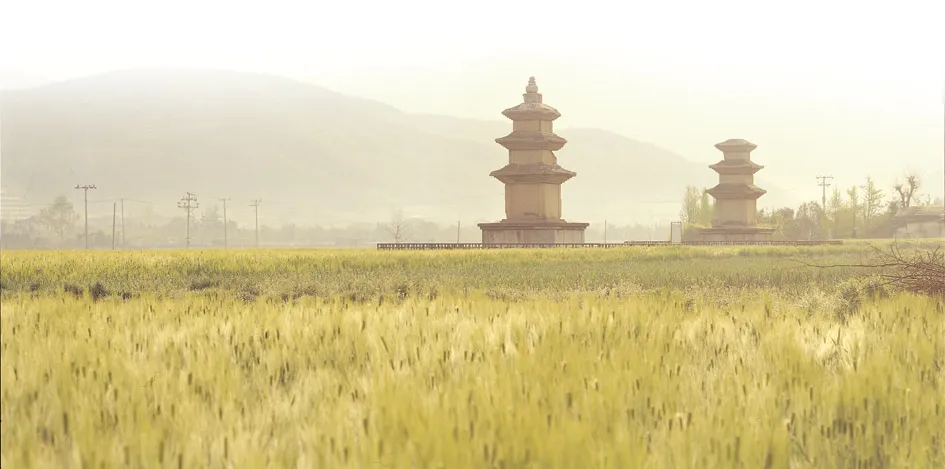 경주 천군동 동·서 삼층석탑 사진