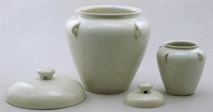 백자 태항아리 및 태지석(1993) 사진