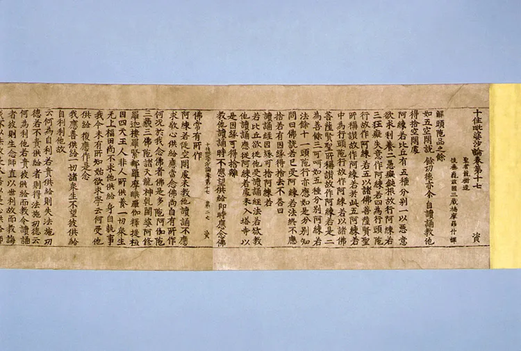 초조본 십주비바사론 권17 사진