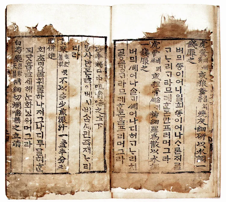 구급간이방 권6(1996) 사진