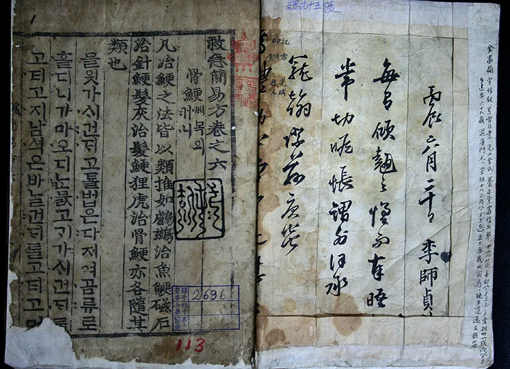 구급간이방 권6(2006) 사진