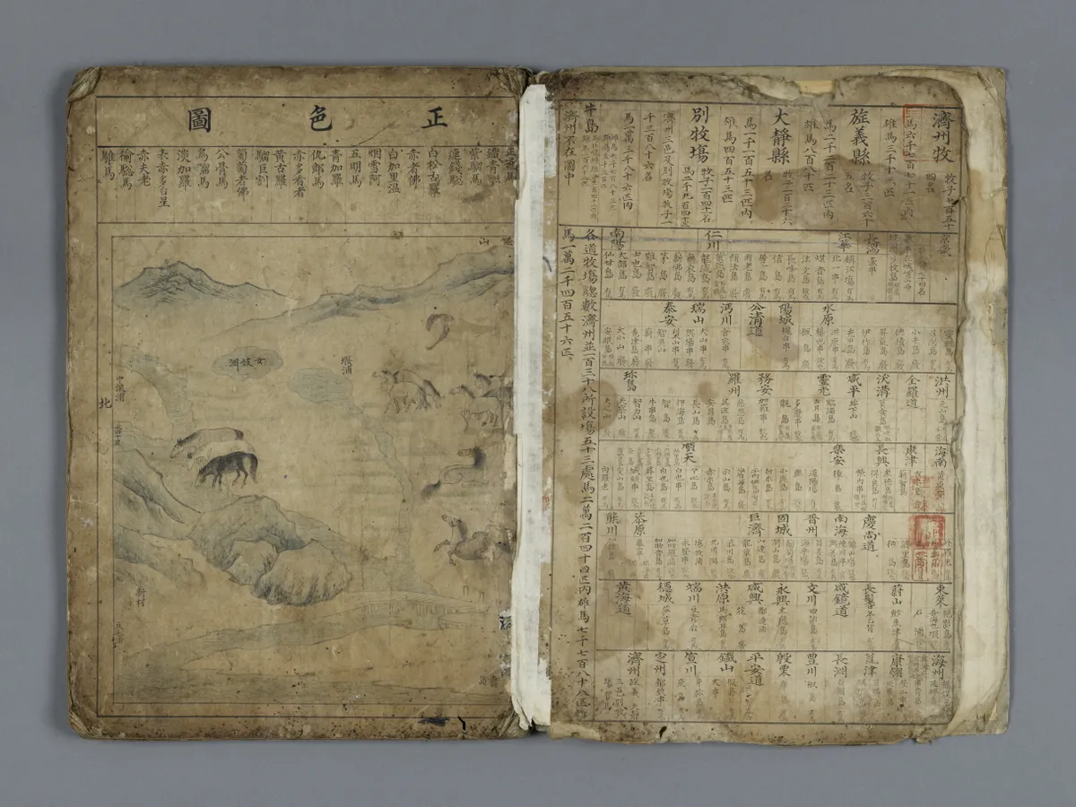 목장지도(2008-2) 사진