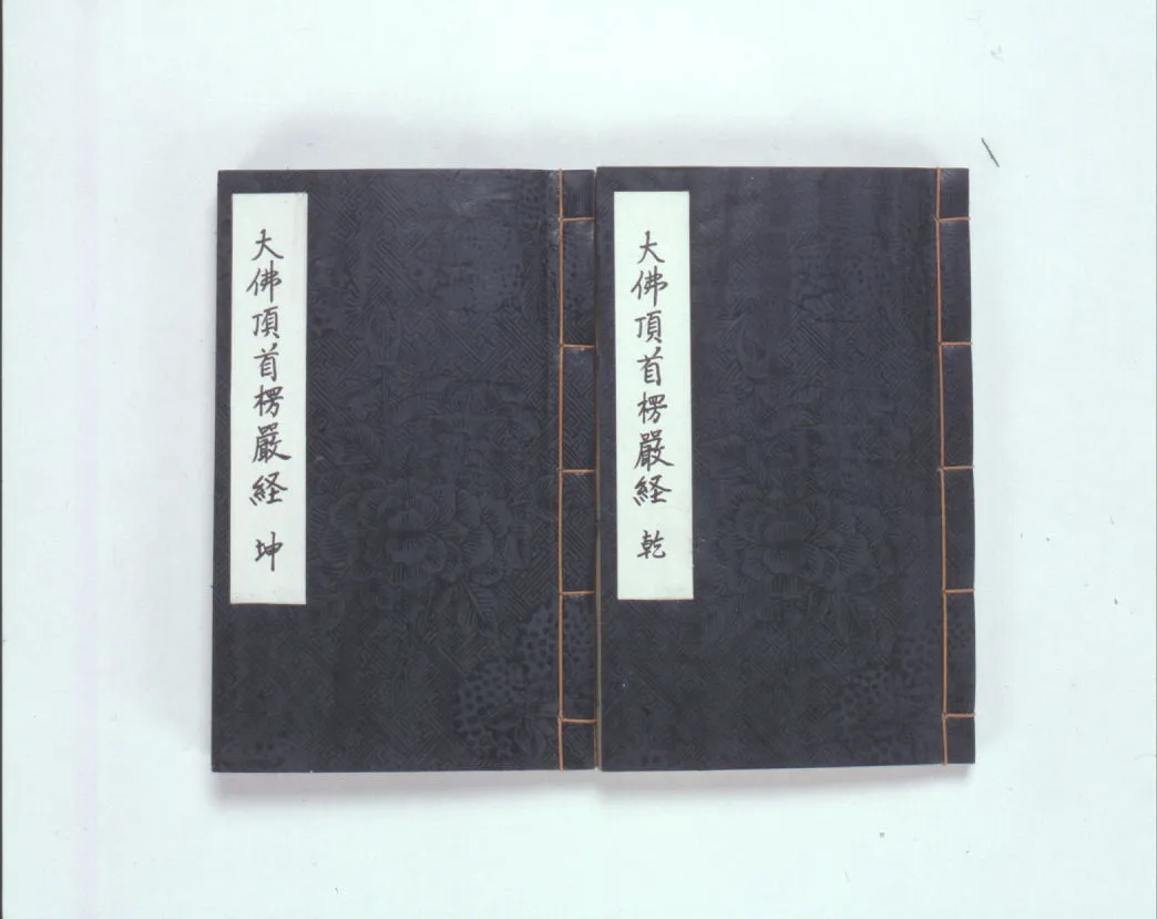 대불정여래밀인수증요의제보살만행수능엄경(2009) 사진