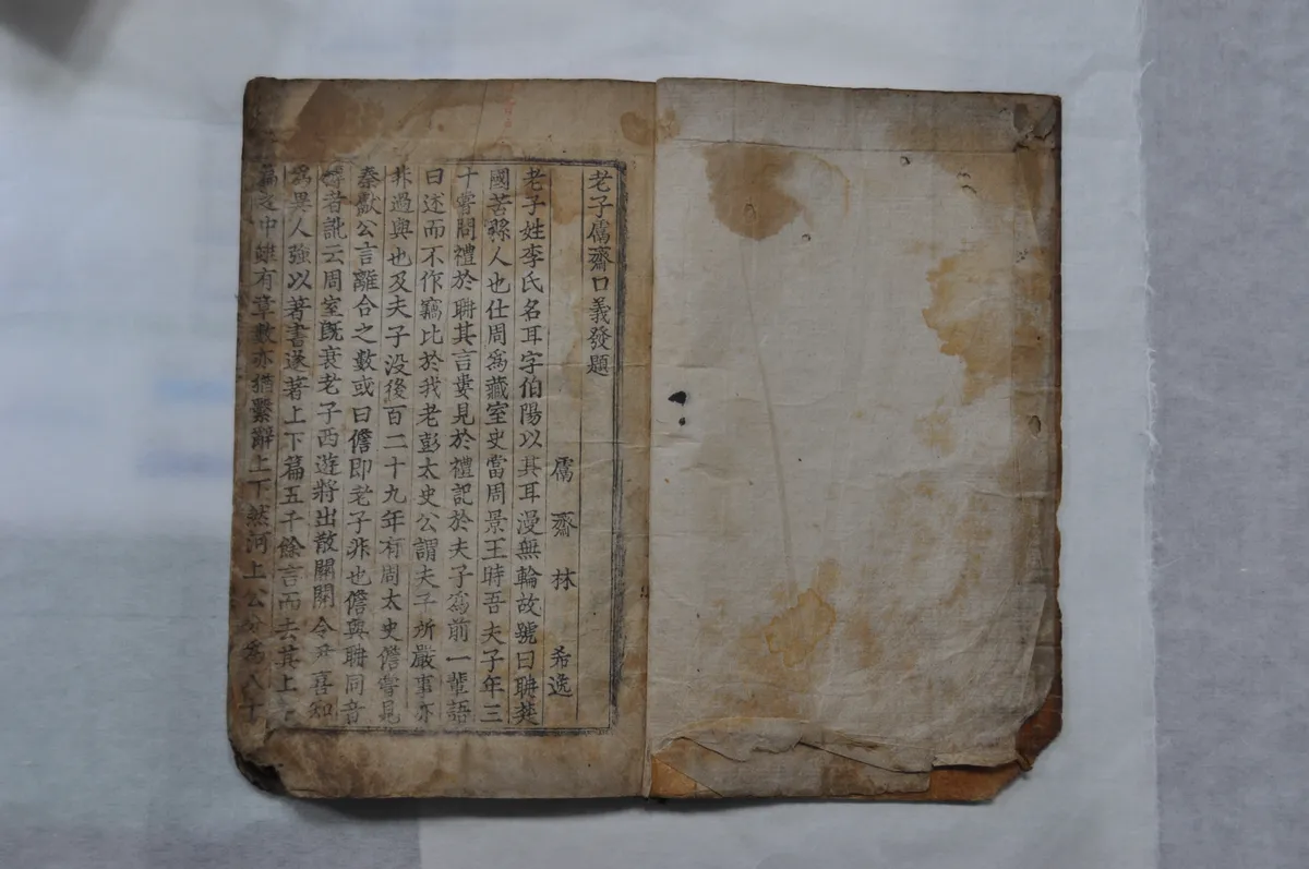노자권재구의 사진