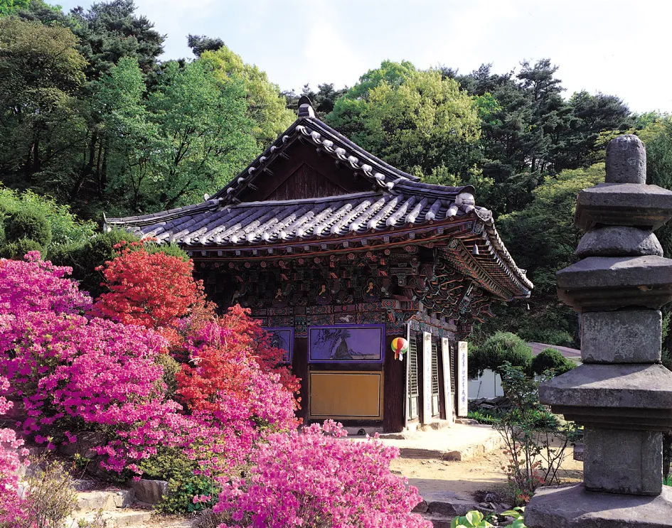 안성 석남사 영산전 사진