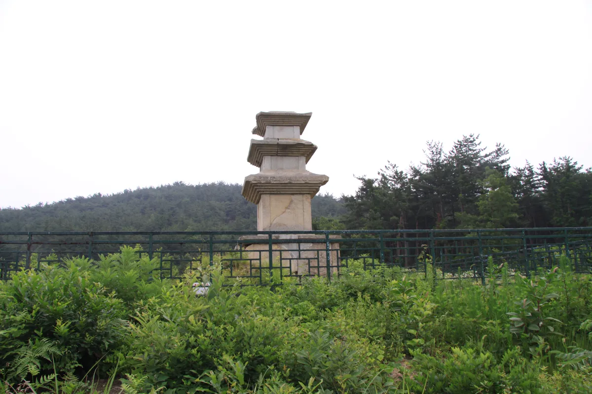 경주 남산 창림사지 삼층석탑 사진