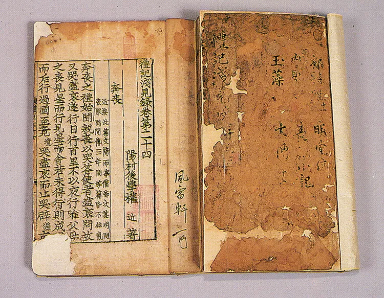 김성일 종가 전적 사진